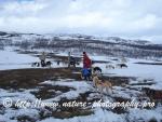 Swedish Lapland - Dog Sledding Expedition - Signal Valley 3