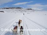 Swedish Lapland - Dog Sledding Expedition - Signal Valley 11