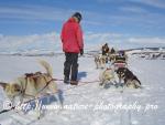 Swedish Lapland - Dog Sledding Expedition - Signal Valley 14