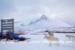 Swedish Lapland - Dog Sledding Expedition - Signal Valley 43