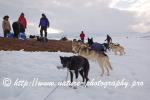 Swedish Lapland - Dog Sledding Expedition - Signal Valley 50