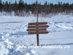 Swedish Lapland - Dog Sledding Expedition - Samiland 26