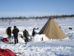 Swedish Lapland - Dog Sledding Expedition - Samiland 34