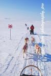 Swedish Lapland - Dog Sledding Expedition - Samiland 60