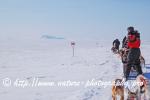Swedish Lapland - Dog Sledding Expedition - Samiland 61