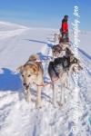 Swedish Lapland - Dog Sledding Expedition - Samiland 64