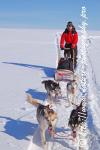 Swedish Lapland - Dog Sledding Expedition - Samiland 65