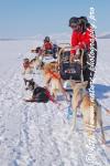 Swedish Lapland - Dog Sledding Expedition - Samiland 71