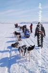 Swedish Lapland - Dog Sledding Expedition - Samiland 72