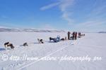 Swedish Lapland - Dog Sledding Expedition - Samiland 73