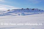 Swedish Lapland - Dog Sledding Expedition - Samiland 77